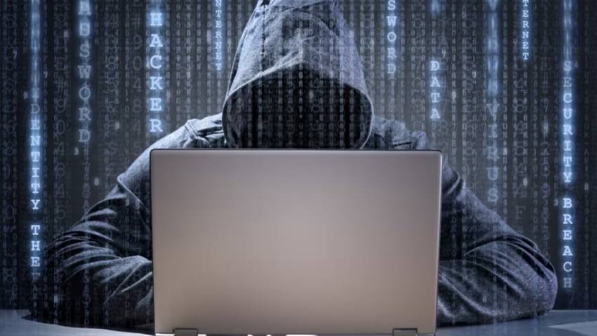 双流县小程序定制开发：企业数字化转型的得力助手及实现路径